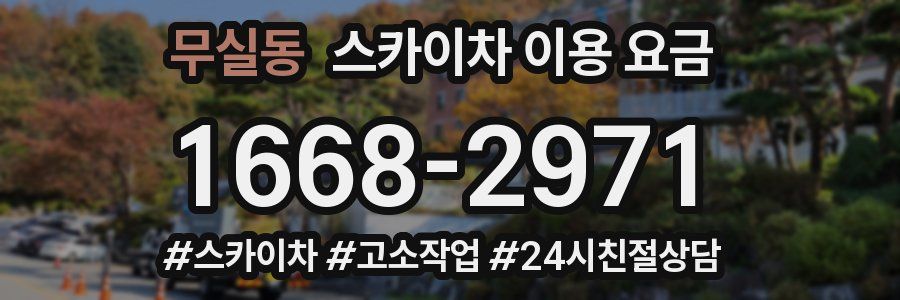 무실동 스카이차 이용 요금