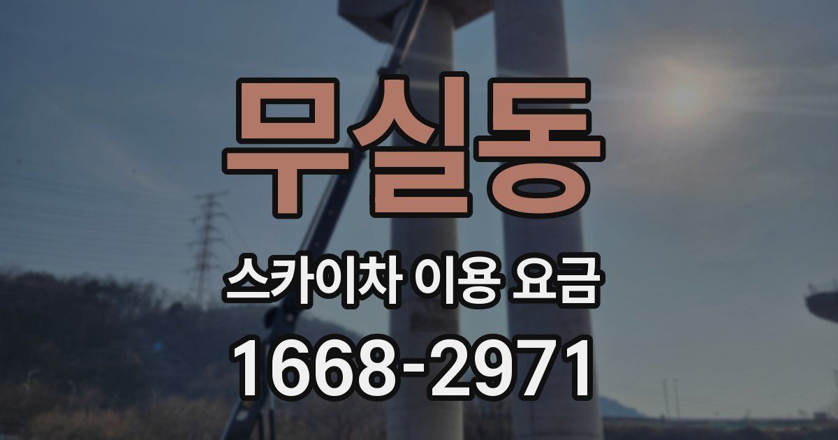 무실동 스카이차 이용 요금
