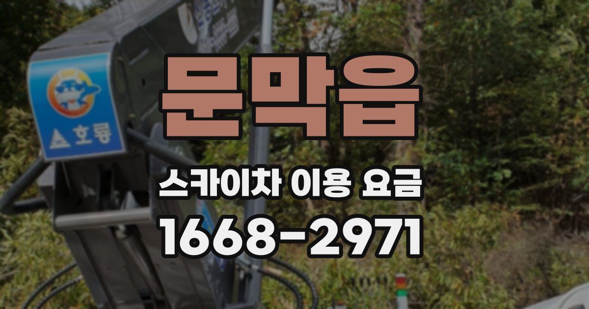 문막읍 스카이차 이용 요금