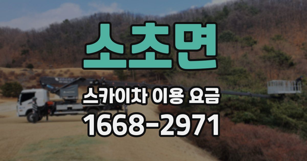 소초면 스카이차 이용 요금