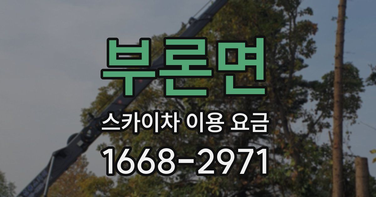 부론면 스카이차 이용 요금