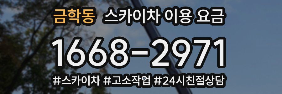 금학동 스카이차 이용 요금