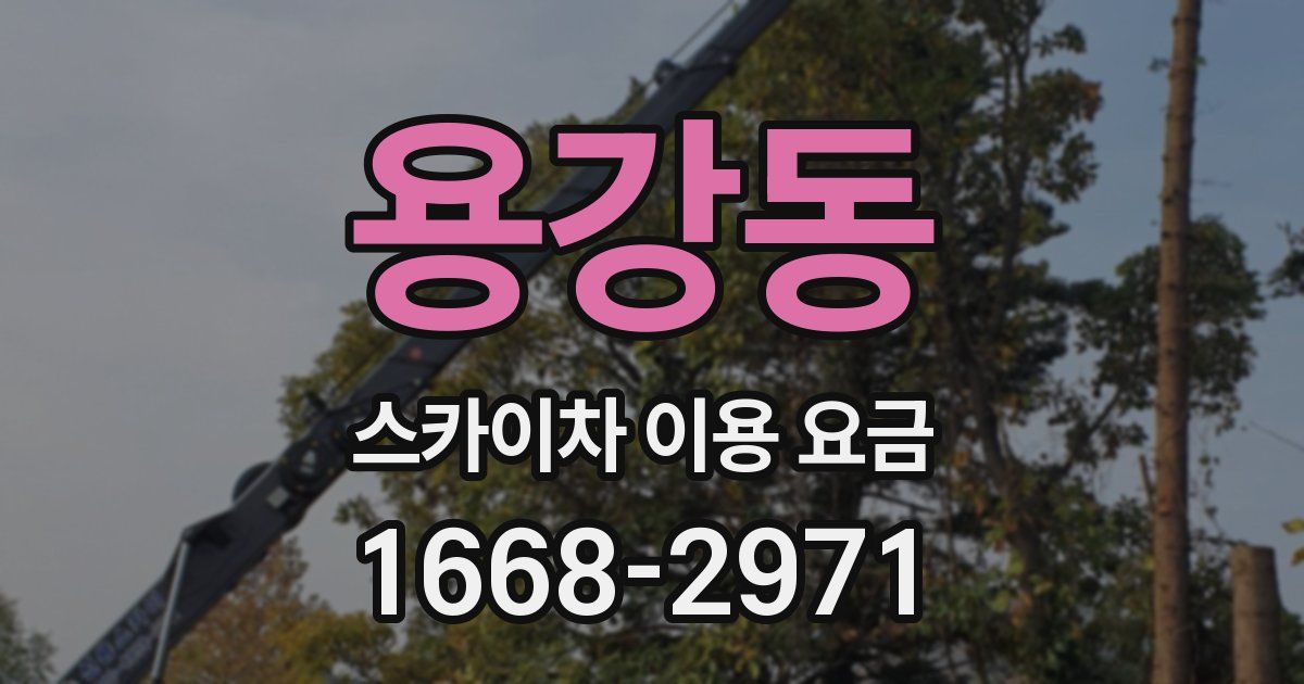 용강동 스카이차 이용 요금