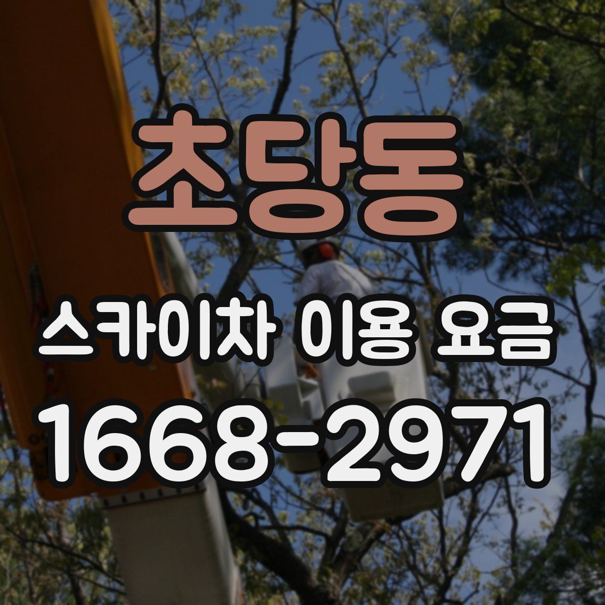 초당동 스카이차 이용 요금