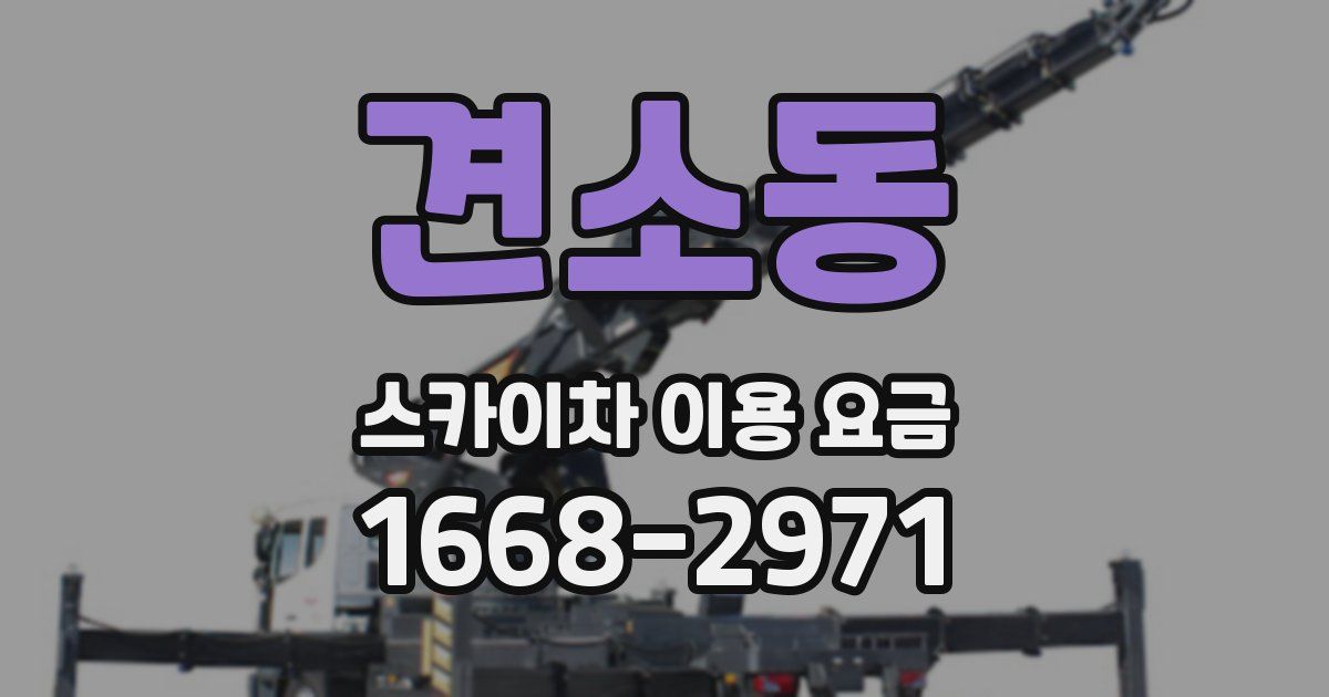 견소동 스카이차 이용 요금