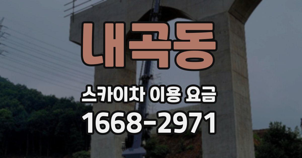 내곡동 스카이차 이용 요금