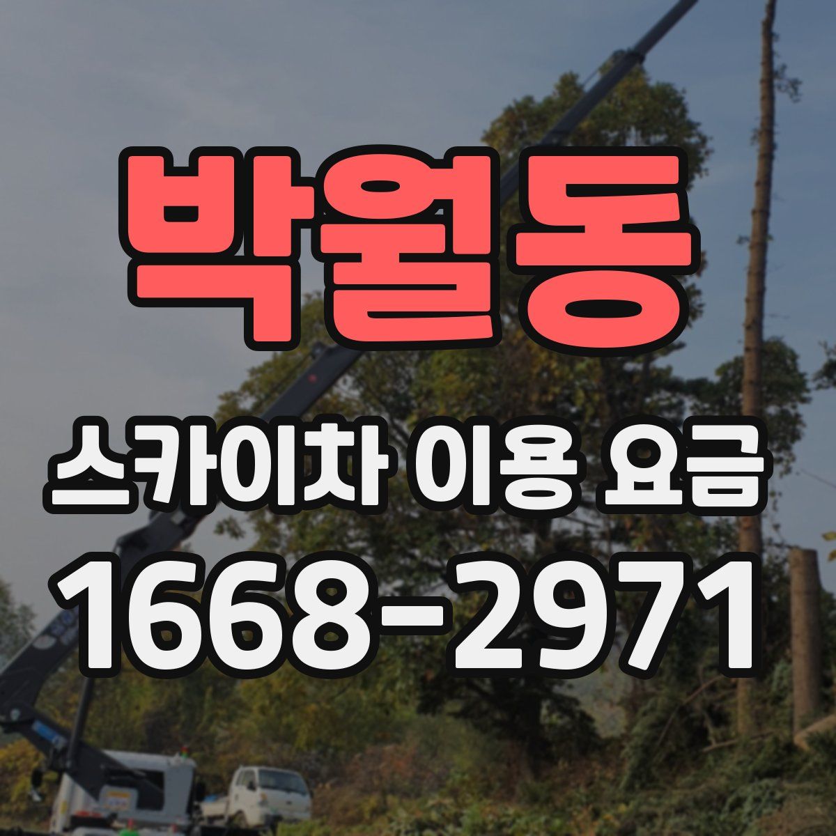 박월동 스카이차 이용 요금