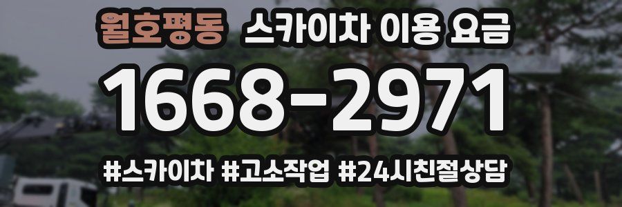 월호평동 스카이차 이용 요금