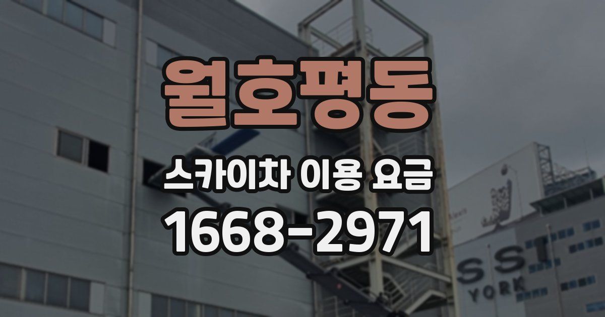 월호평동 스카이차 이용 요금