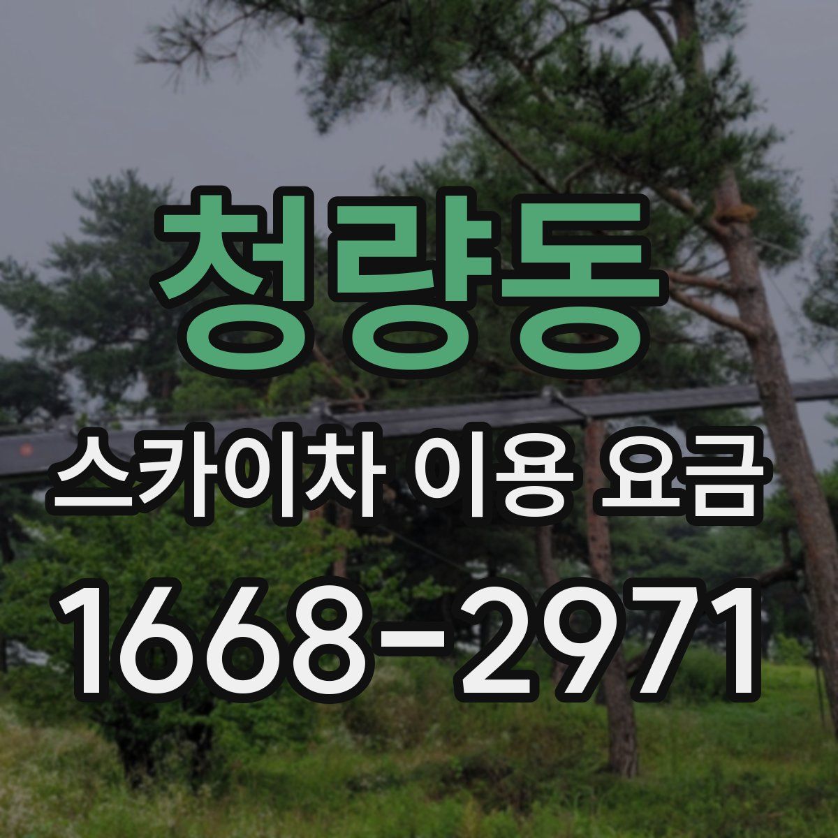 청량동 스카이차 이용 요금