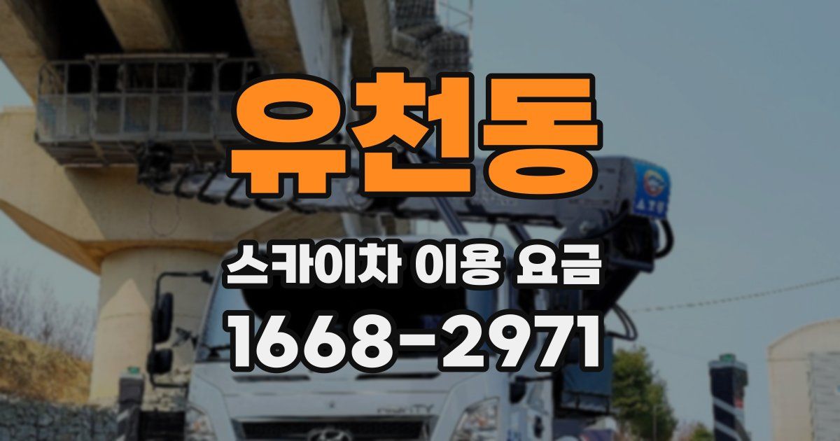 유천동 스카이차 이용 요금