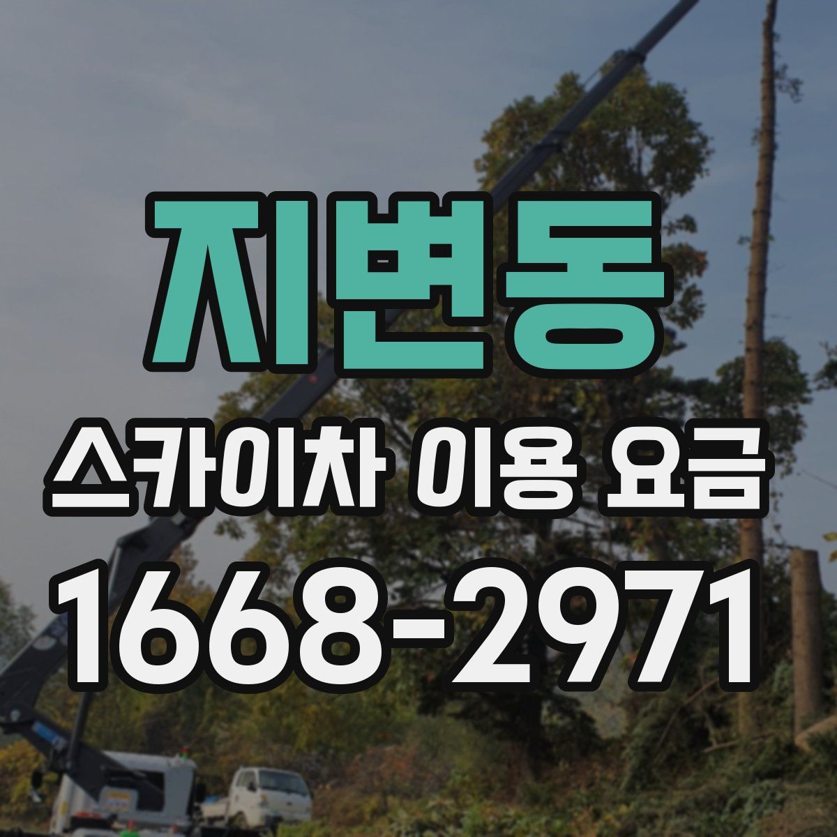 지변동 스카이차 이용 요금