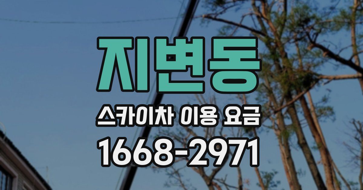 지변동 스카이차 이용 요금
