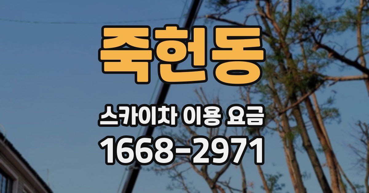 죽헌동 스카이차 이용 요금