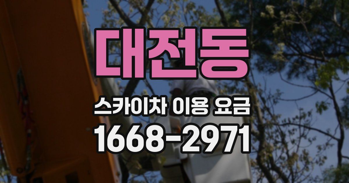 대전동 스카이차 이용 요금