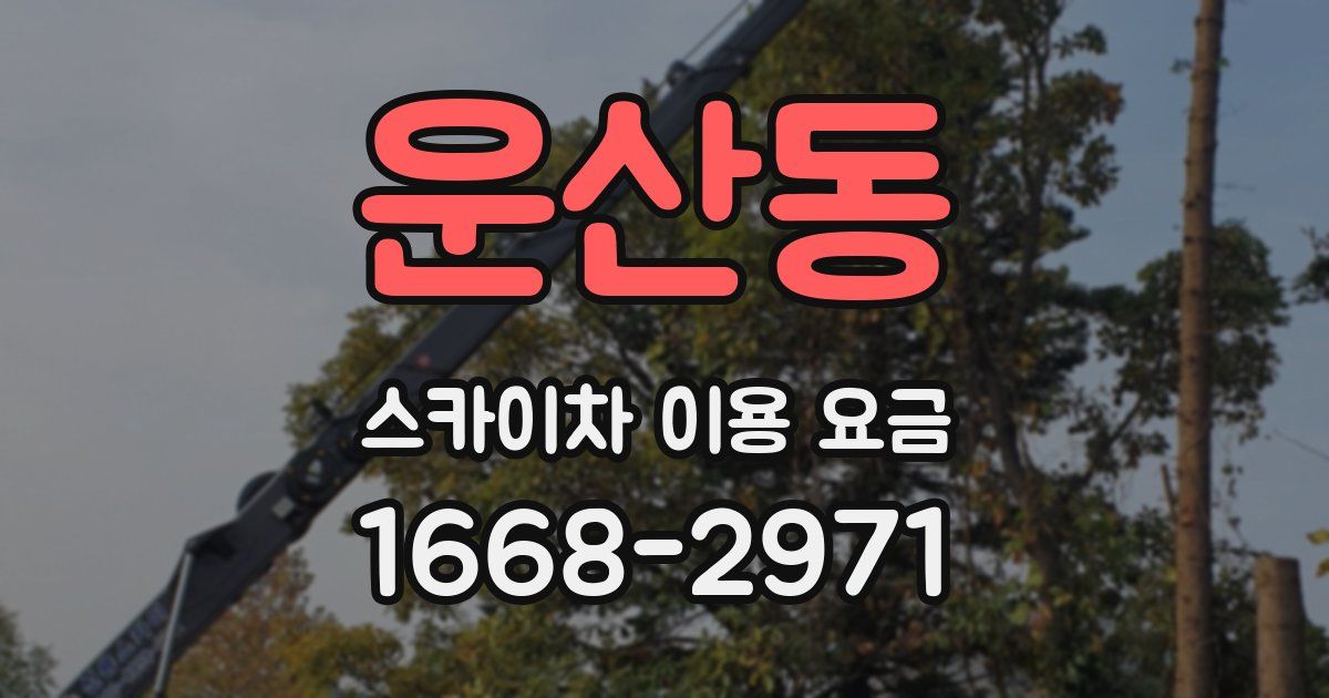 운산동 스카이차 이용 요금