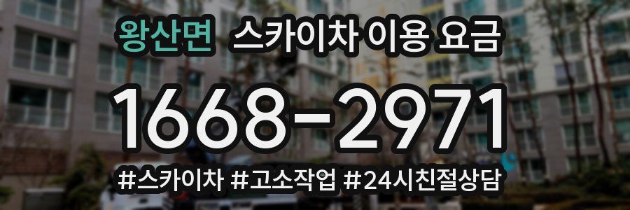 왕산면 스카이차 이용 요금