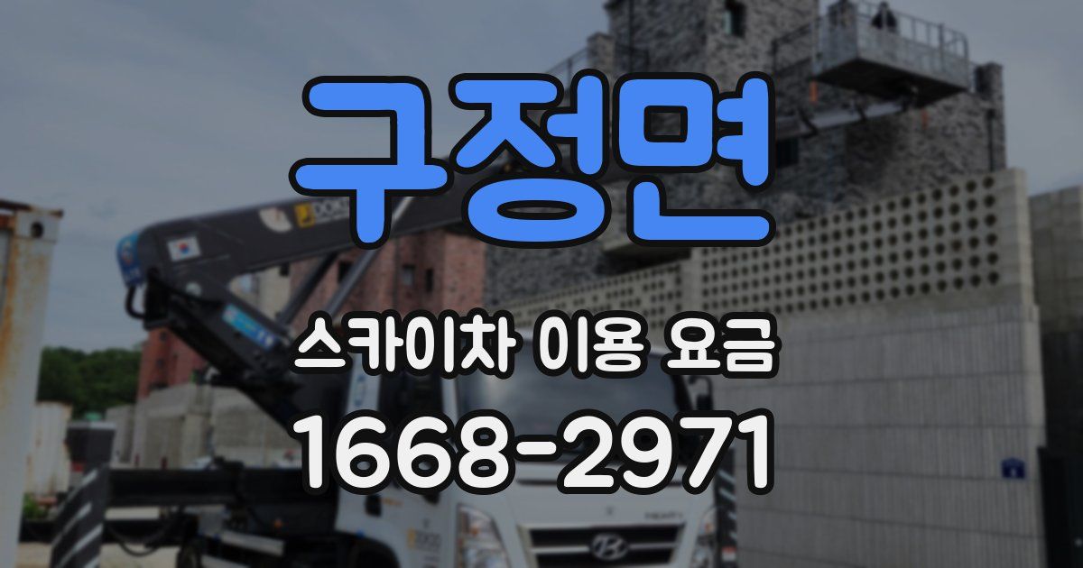 구정면 스카이차 이용 요금