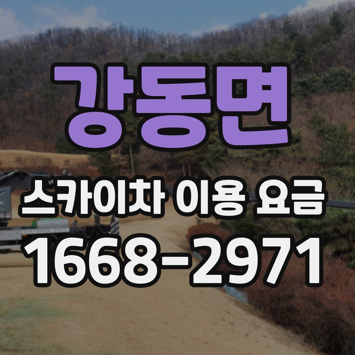 강동면 스카이차 이용 요금 비교할 때 기준이 되는 항목