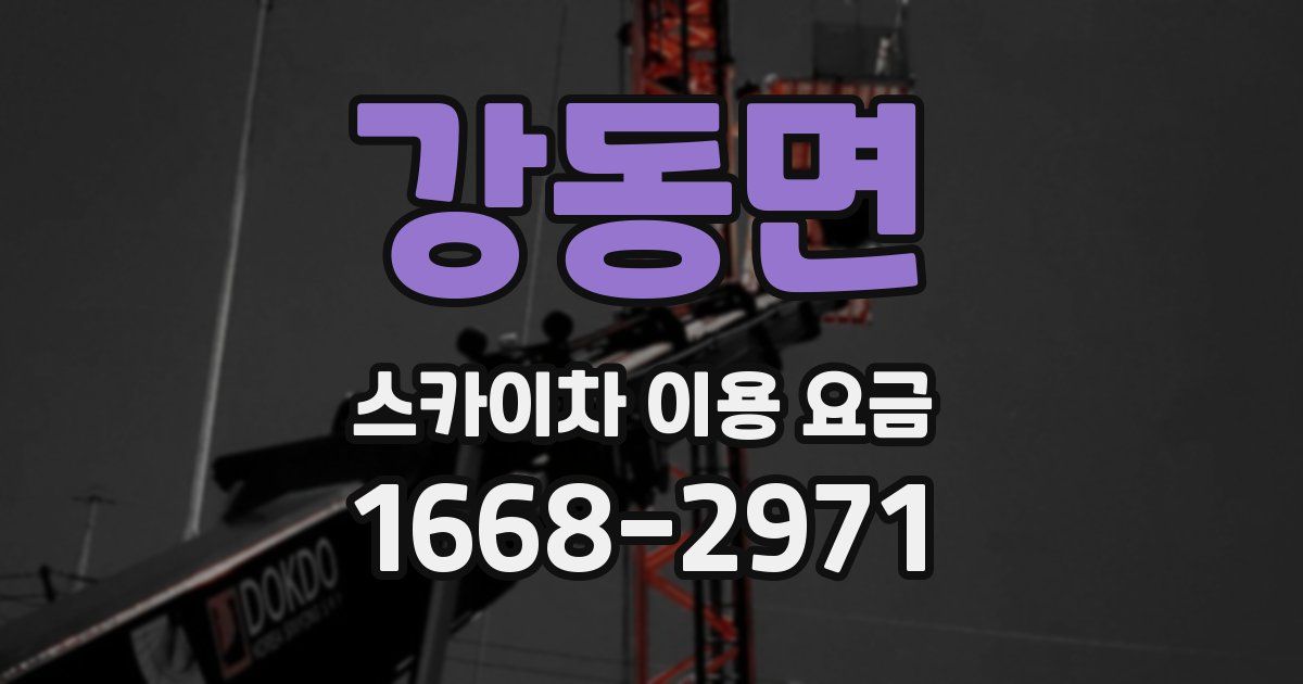 강동면 스카이차 이용 요금