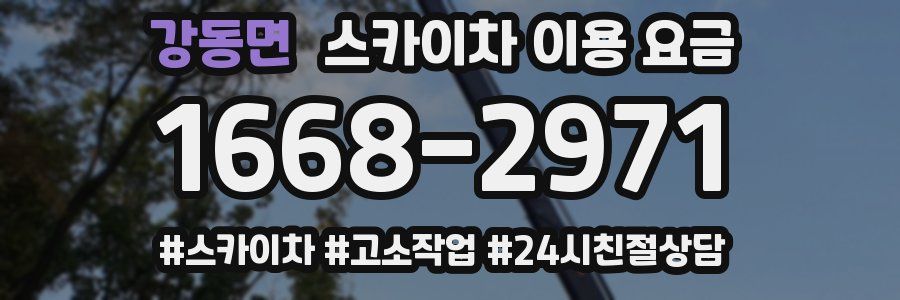 강동면 스카이차 이용 요금