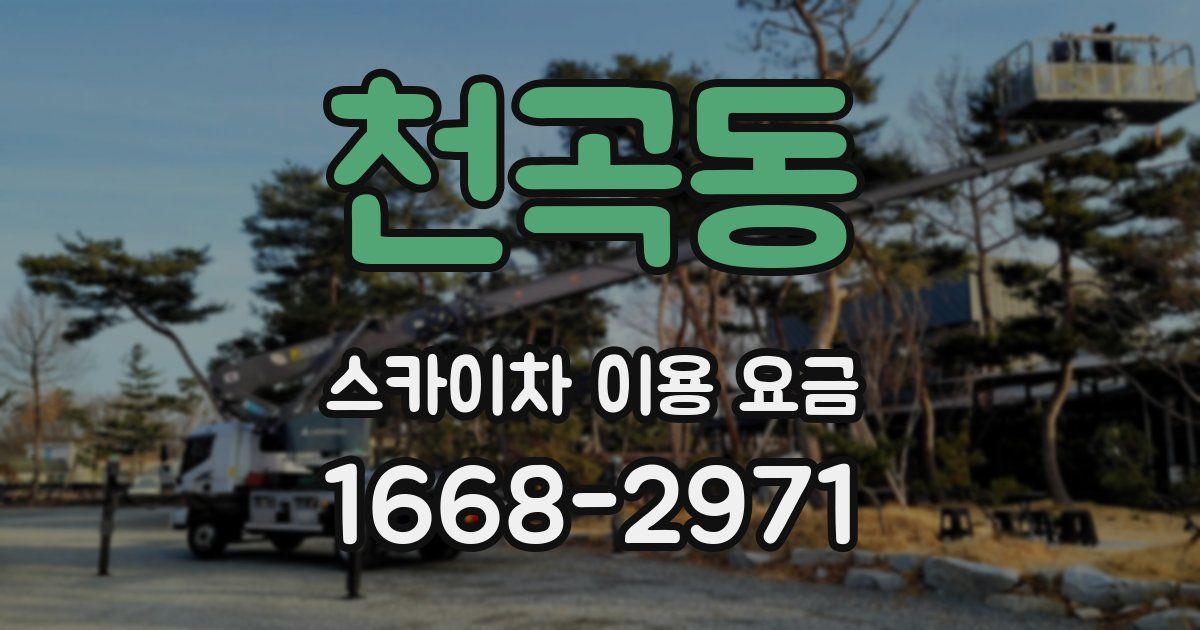천곡동 스카이차 이용 요금