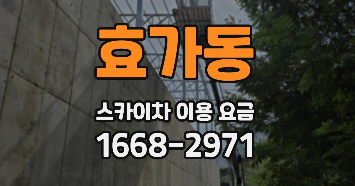 효가동 스카이차 이용 요금