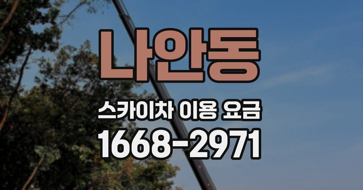 나안동 스카이차 이용 요금