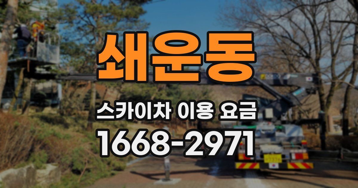 쇄운동 스카이차 이용 요금
