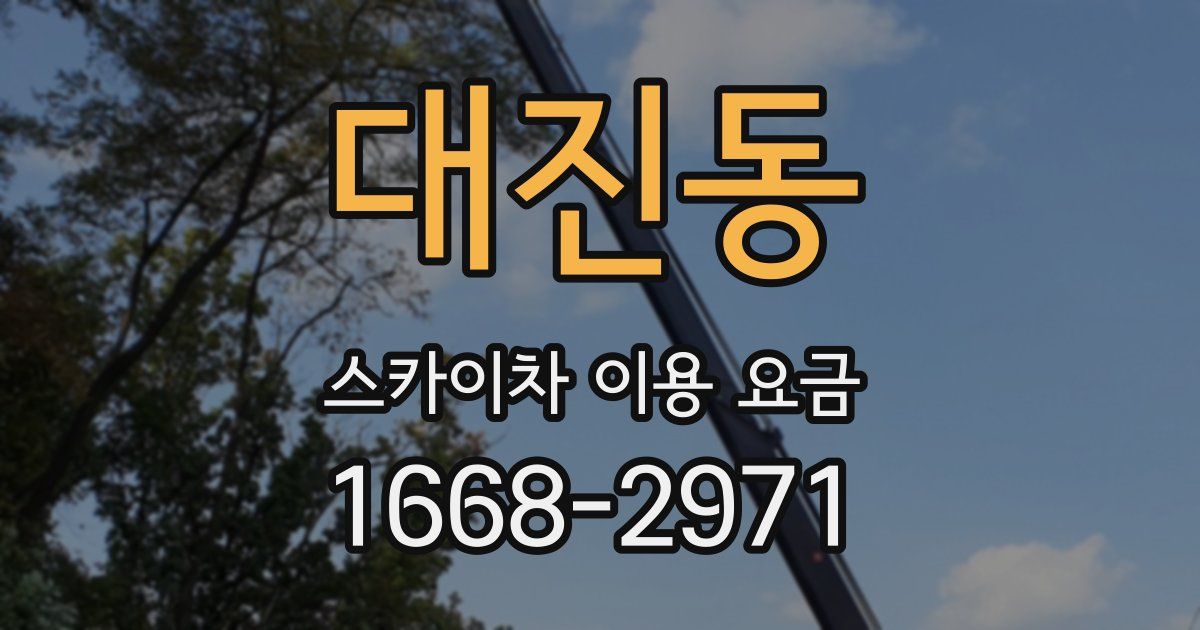 대진동 스카이차 이용 요금