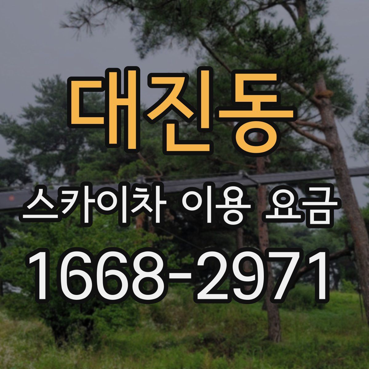 대진동 스카이차 이용 요금