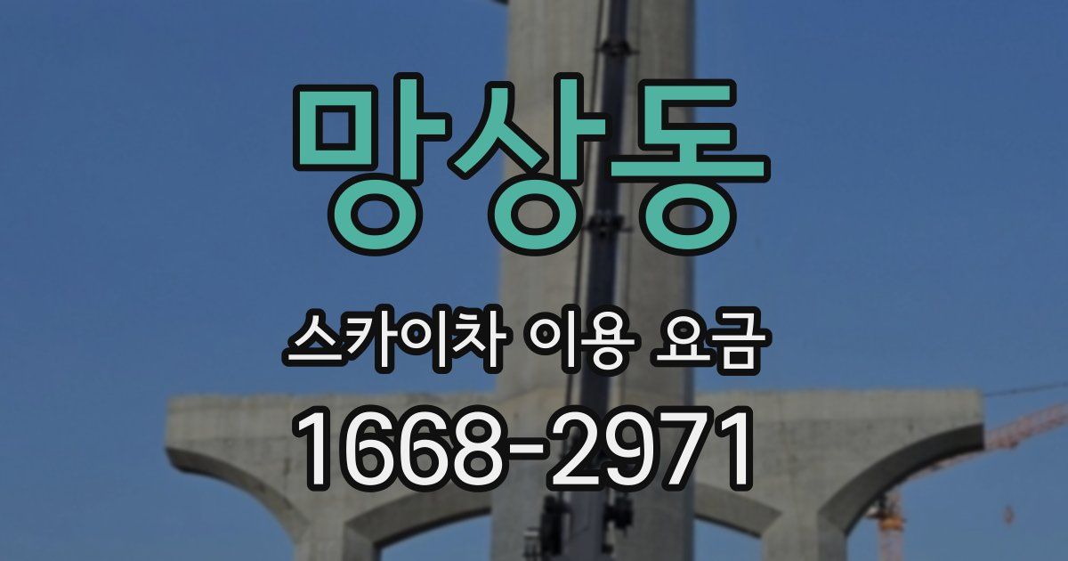 망상동 스카이차 이용 요금