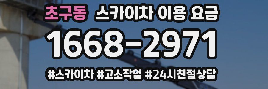 초구동 스카이차 이용 요금