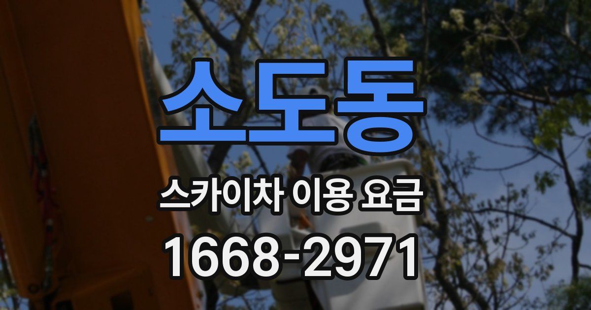 소도동 스카이차 이용 요금