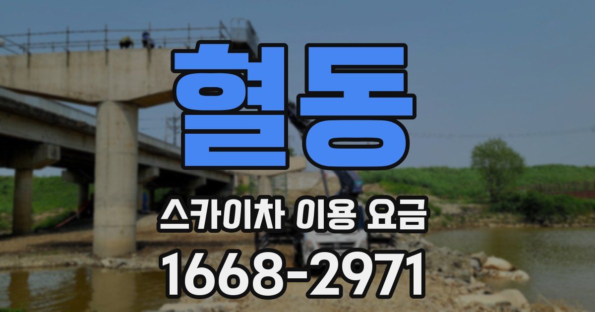 혈동 스카이차 이용 요금