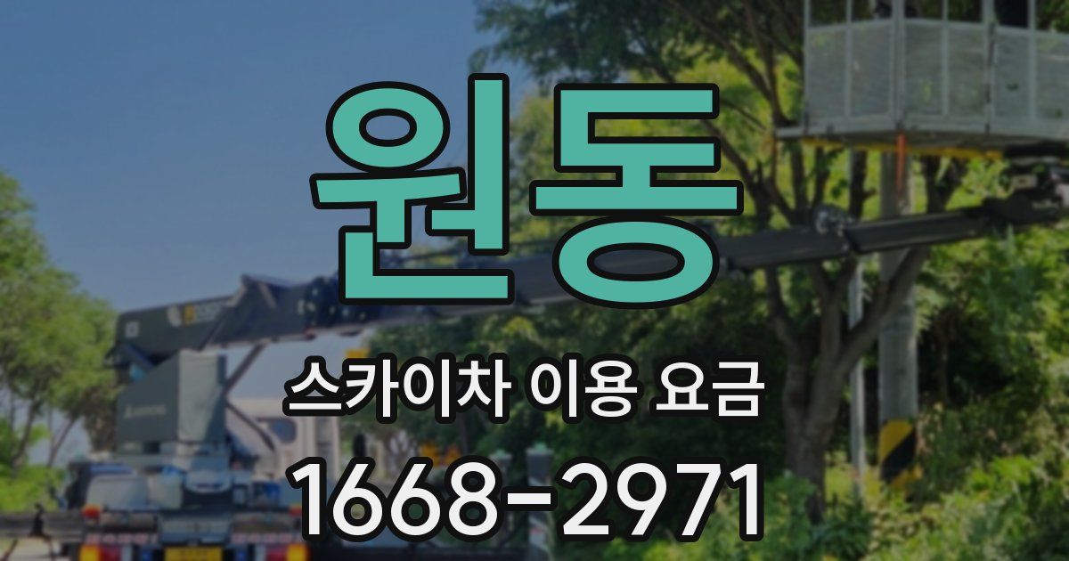 원동 스카이차 이용 요금