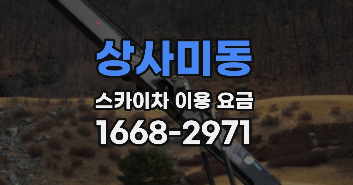 상사미동 스카이차 이용 요금