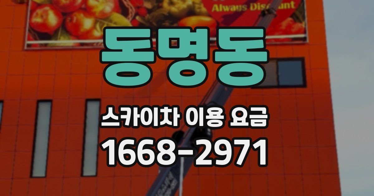 동명동 스카이차 이용 요금