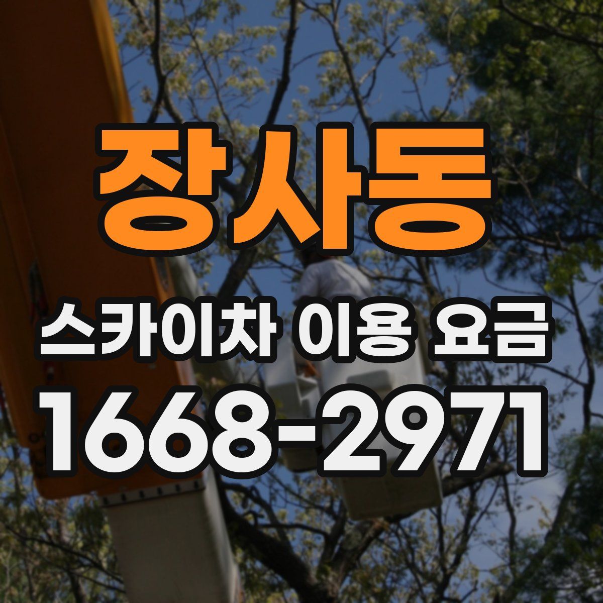 장사동 스카이차 이용 요금