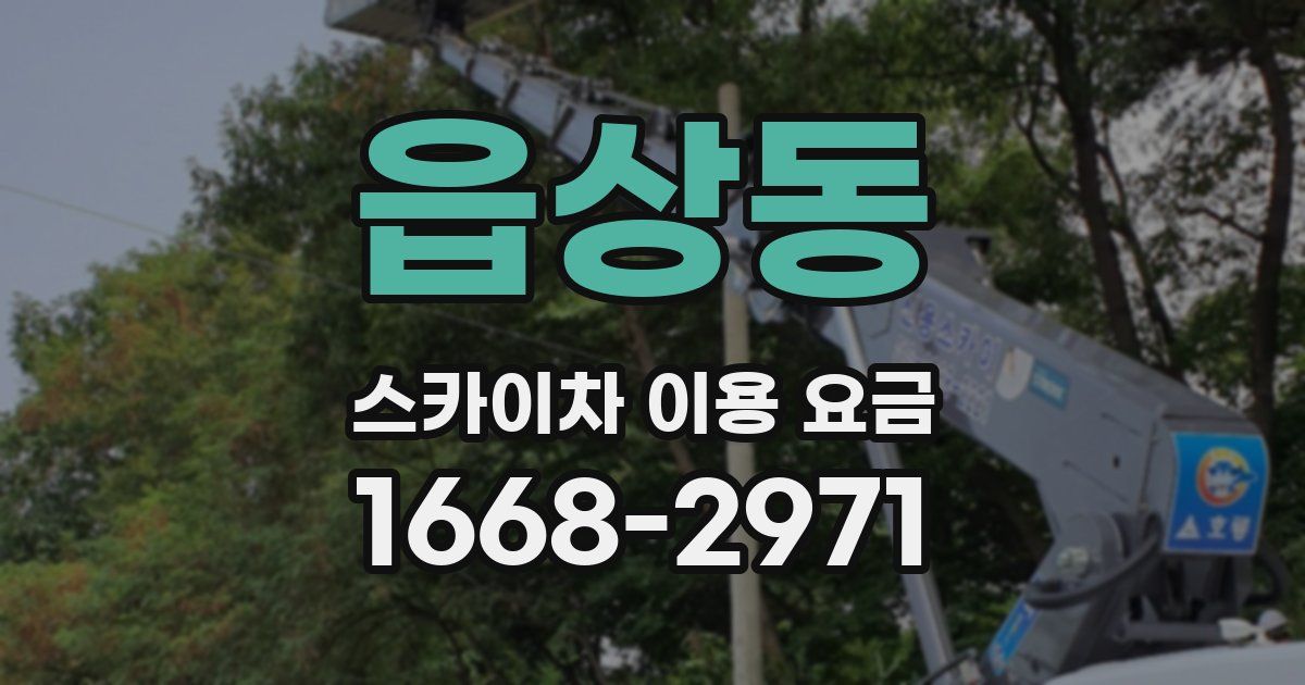 읍상동 스카이차 이용 요금