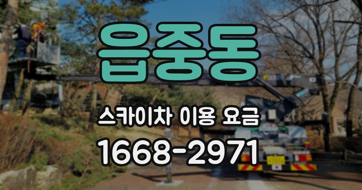 읍중동 스카이차 이용 요금