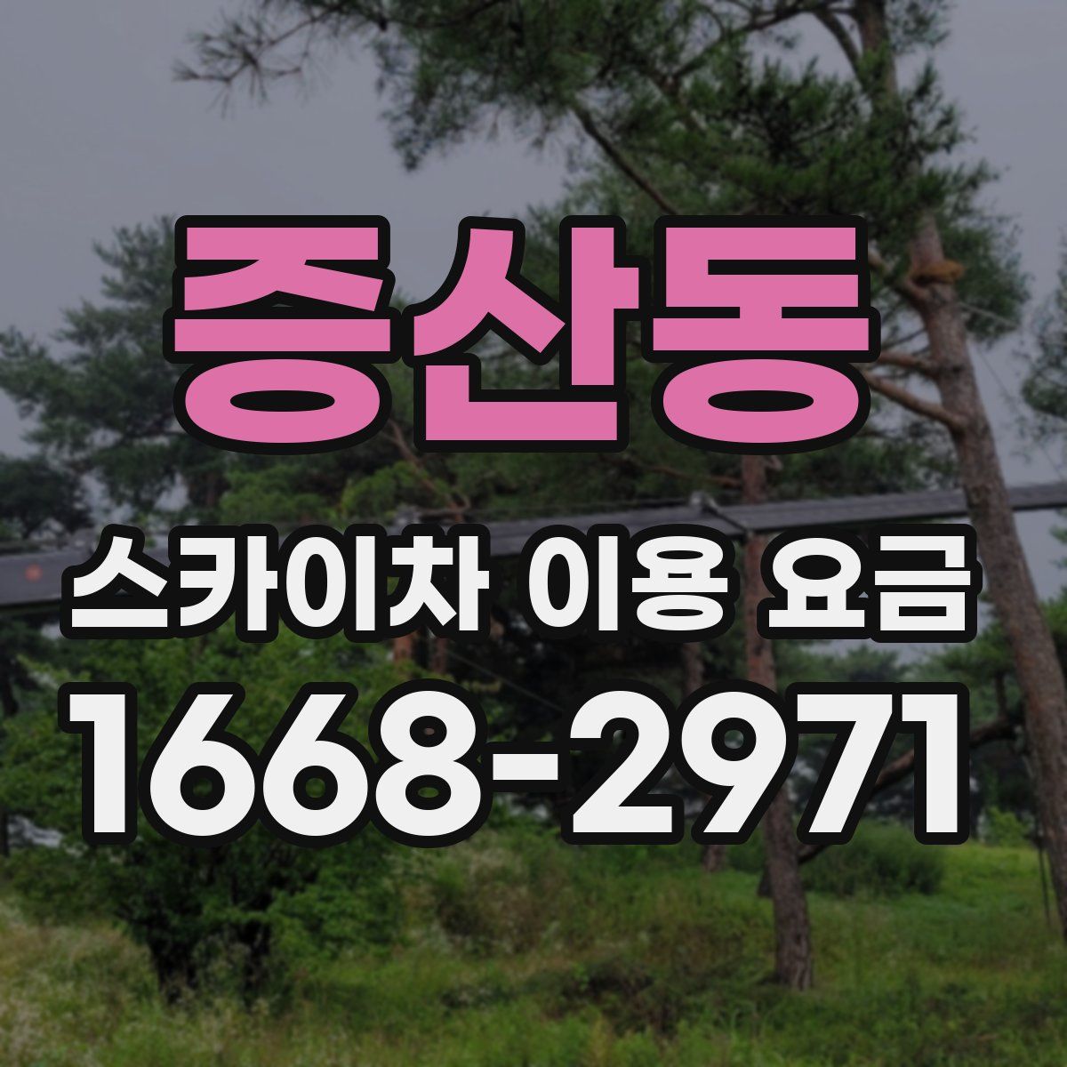증산동 스카이차 이용 요금