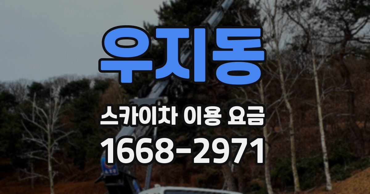 우지동 스카이차 이용 요금