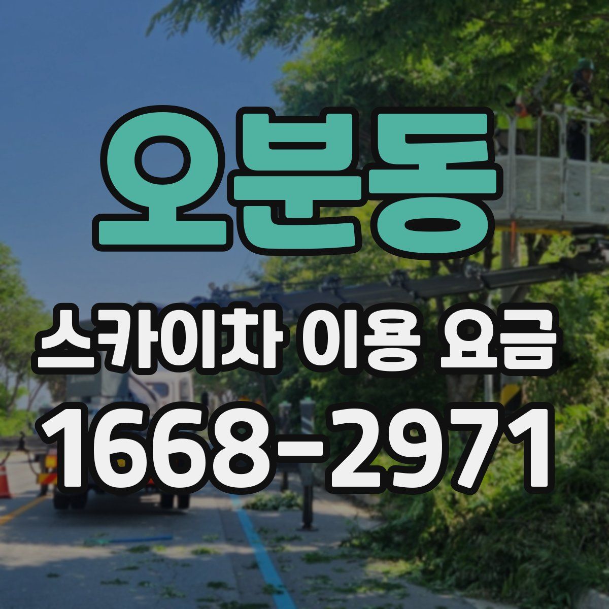 오분동 스카이차 이용 요금