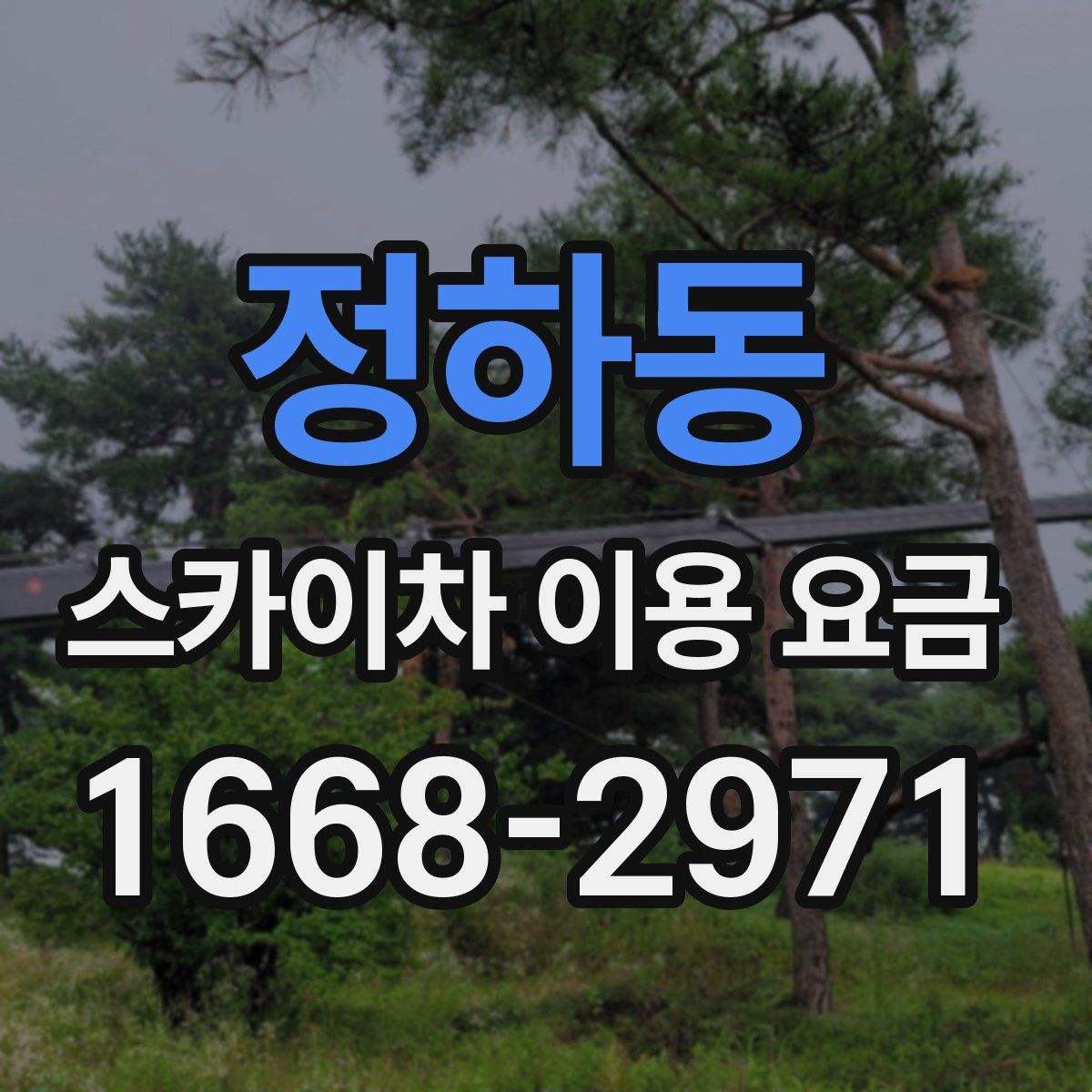 정하동 스카이차 이용 요금