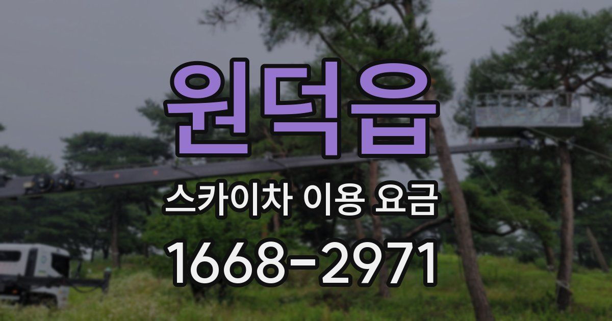 원덕읍 스카이차 이용 요금