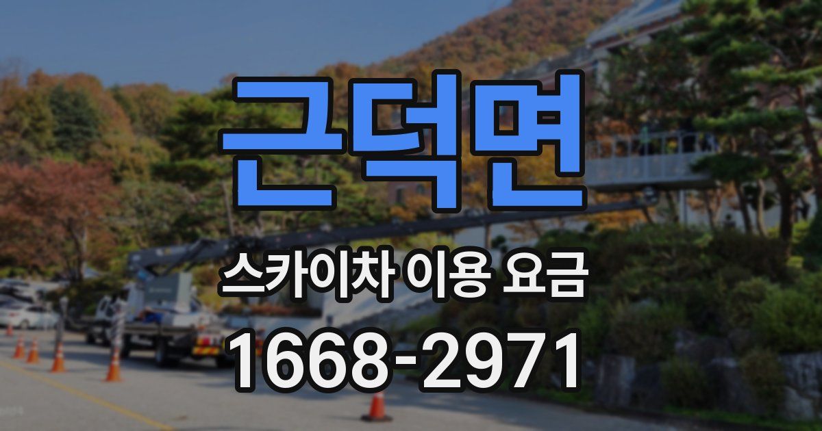 근덕면 스카이차 이용 요금