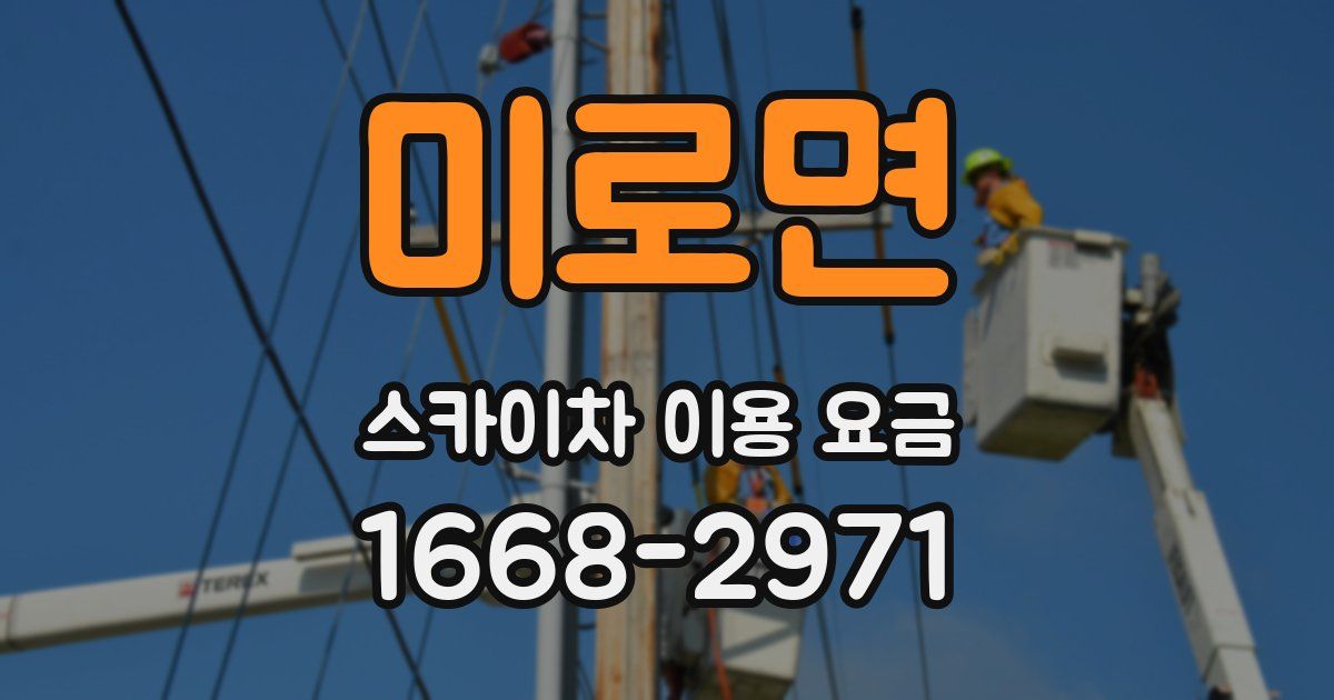 미로면 스카이차 이용 요금