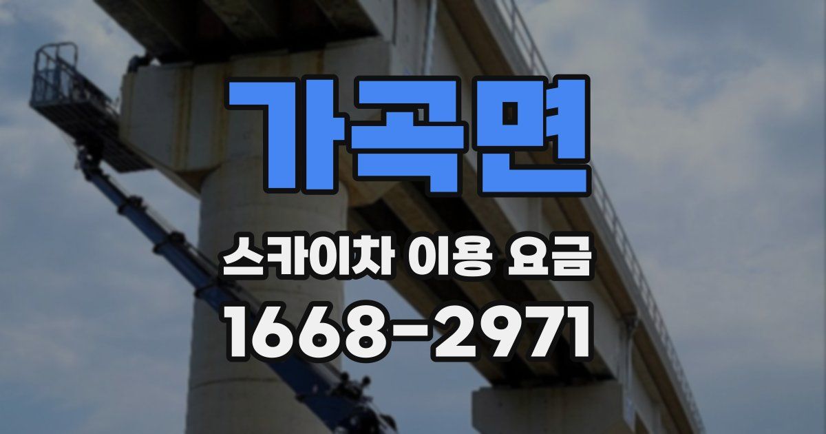 가곡면 스카이차 이용 요금