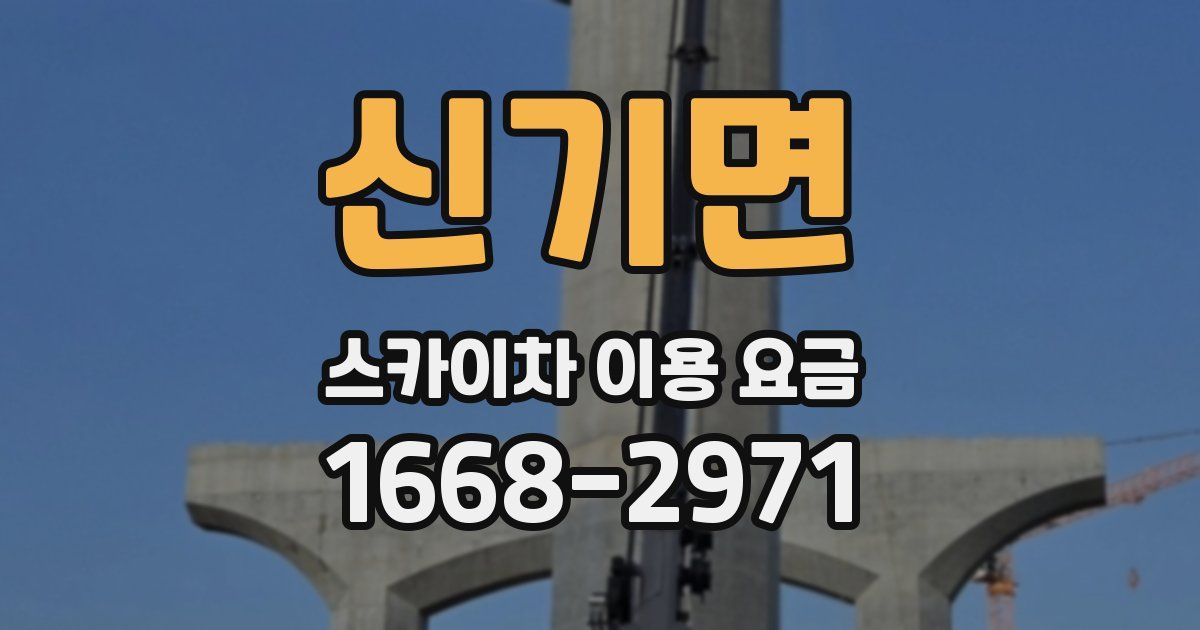 신기면 스카이차 이용 요금